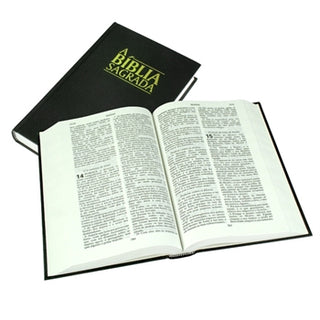A Biblia Sagrada (Portuguese Bible)