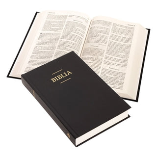 Biblia (Romanian Bible)