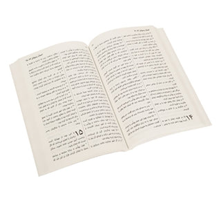 Farsi New Testament