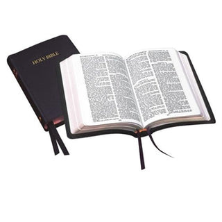 31/UBK KJV Compact Bible Calfskin image