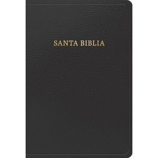 RVR 1960 BIBLIA LETRA GRANDE TAMAÑO MANUAL, NEGRO 9781430082255