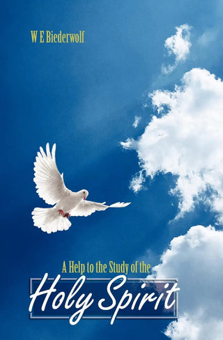 A Help to the Study of the Holy Spirit by W E Biederwolf cover image