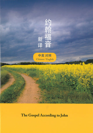 Chinese/English Gospel of John cover image