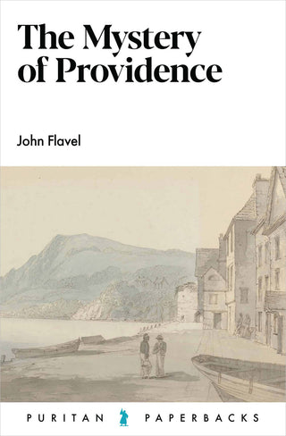 The Mystery of Providence by John Flavel cover image.