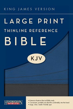 KJV Large Print Thinline Reference Bible, Slate/Blue 9781598566291