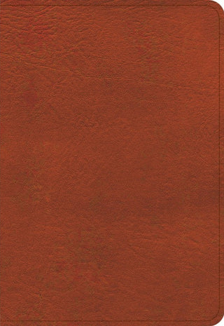 KJV Large Print Compact Reference Bible, Burnt Sienna cover image.