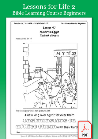 Bible Learning Course Beginners Book 2 Electronic Version cover image