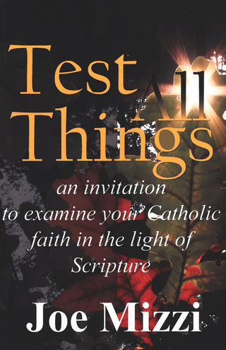 Test All Things by Joe Mizzi cover image.