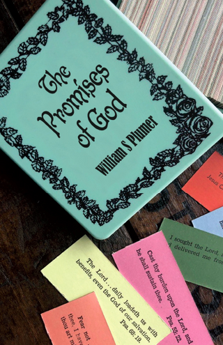The Promises of God by William Plumer cover image.