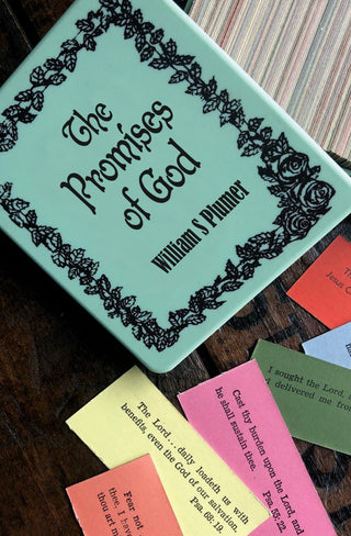 The Promises of God by William Plumer cover image.