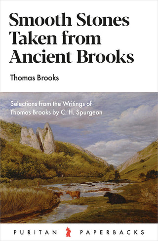 Smooth Stones Taken from Ancient Brooks by Thomas Brooks cover image.