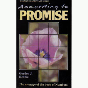 According to Promise - Numbers