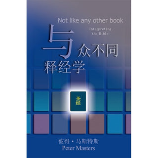 Chinese Not Like Any Other Book