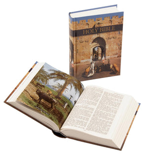 31/AC Royal Ruby Text  (Illustrated) Hardback