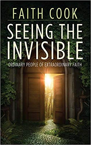 Seeing the Invisible by Faith Cook cover image