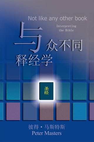 Chinese Not Like Any Other Book cover image