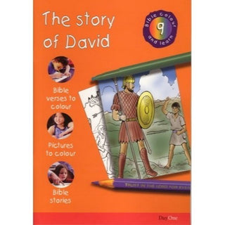 Bible Colour and Learn 9: The Story of David by Karen Roberts cover image.